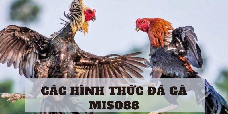 huong-dan-choi-da-ga-miso88-2