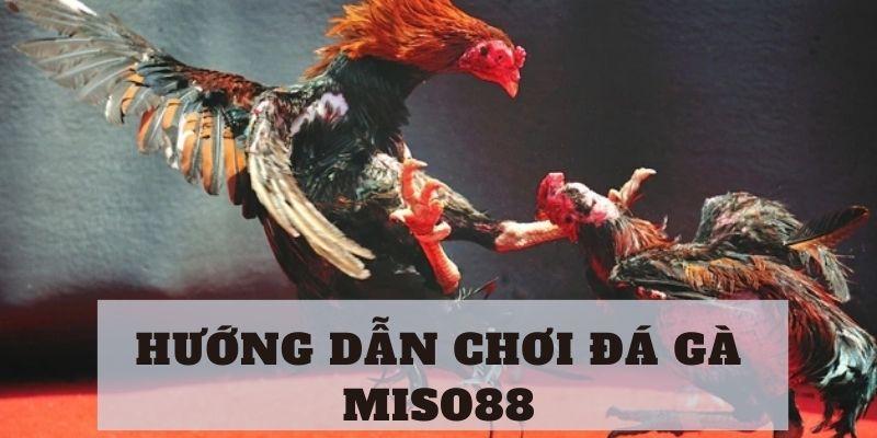 huong-dan-choi-da-ga-miso88-3